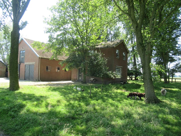 Foto 1 van Zandwerven 41