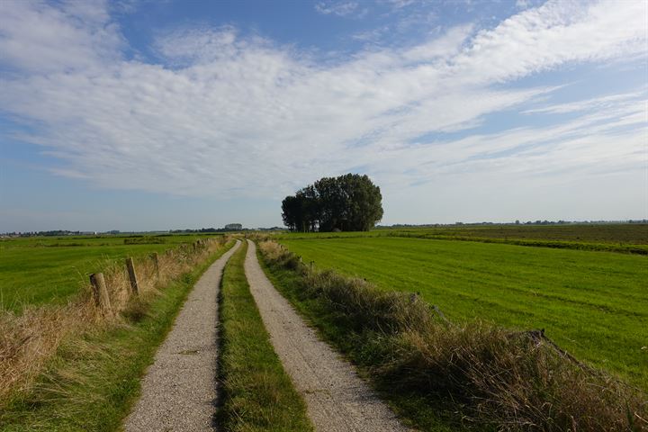 Bekijk foto 5 van Zandwerven 41