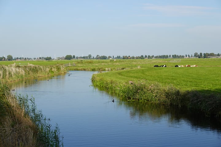 View photo 14 of Zandwerven 41