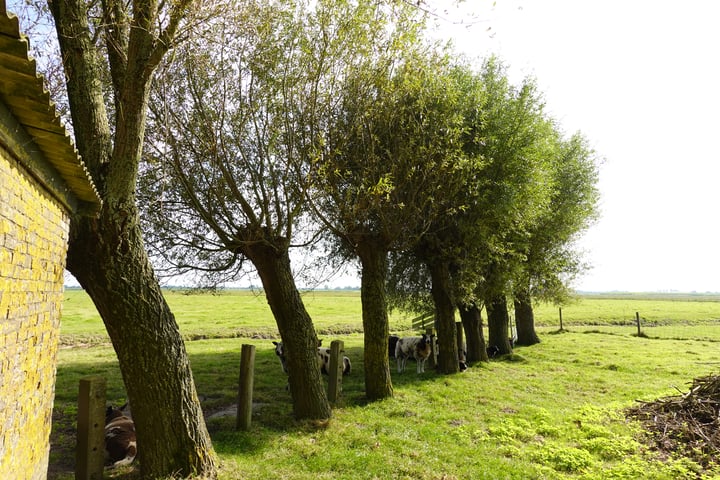 Bekijk foto 15 van Zandwerven 41