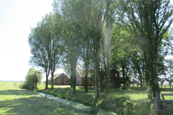 View photo 16 of Zandwerven 41