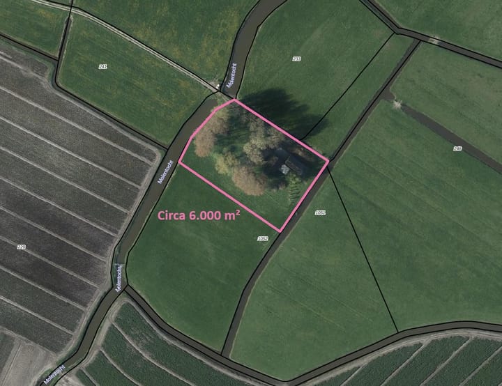 Foto 18 van Zandwerven 41