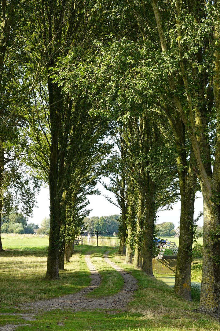 Foto 19 van Zandwerven 41