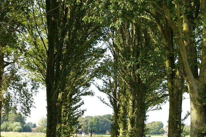 View photo 19 of Zandwerven 41