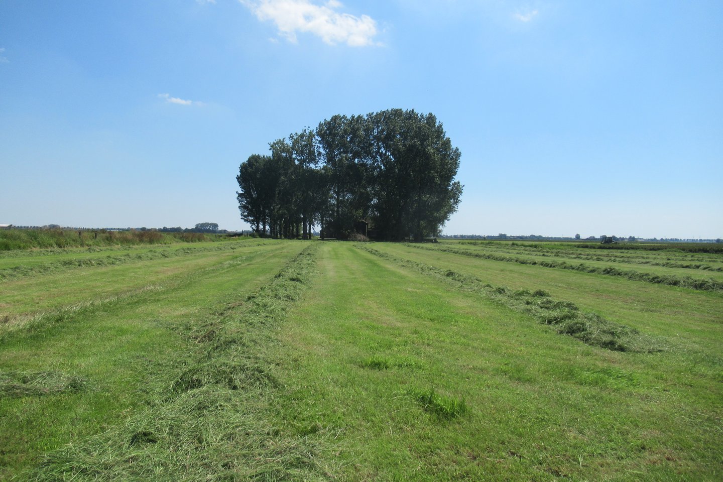 Bekijk foto 2 van nabij Zandwerven 41