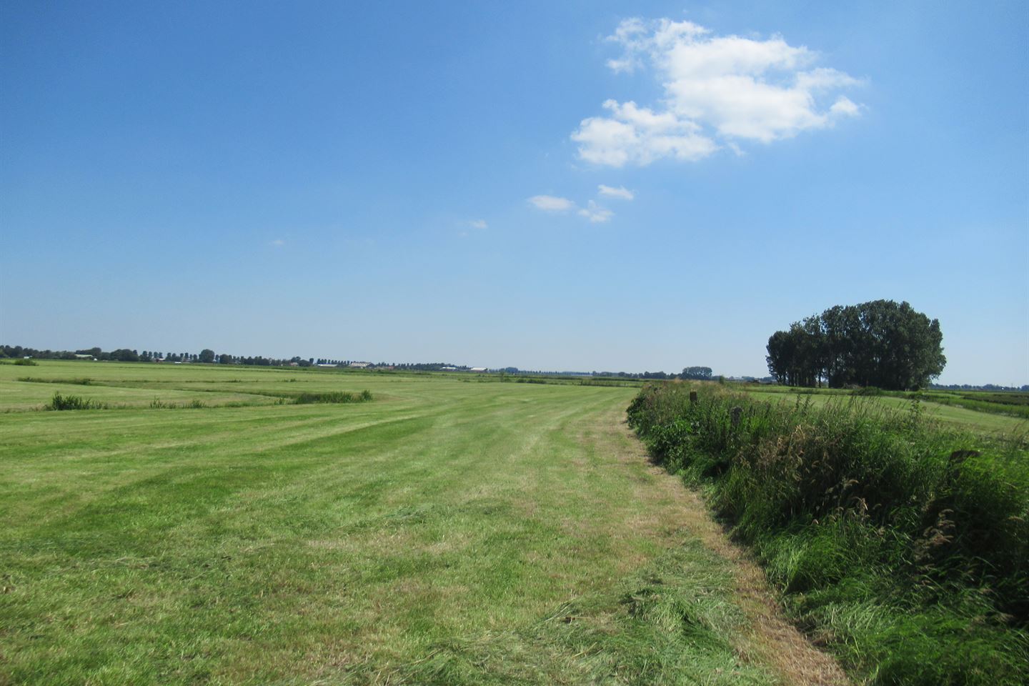 Bekijk foto 5 van nabij Zandwerven 41