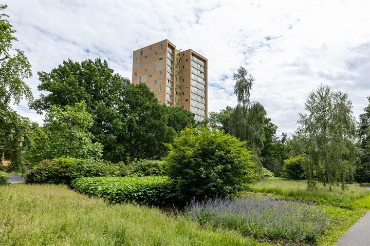 Bekijk foto 6 van Vechtstraat 314