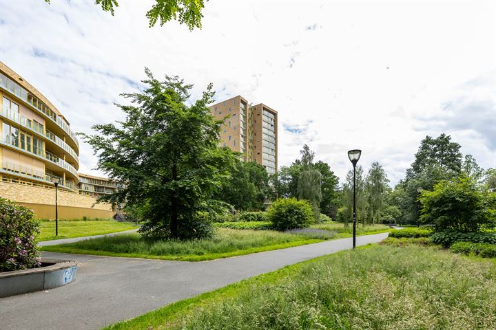 Bekijk foto 46 van Vechtstraat 314