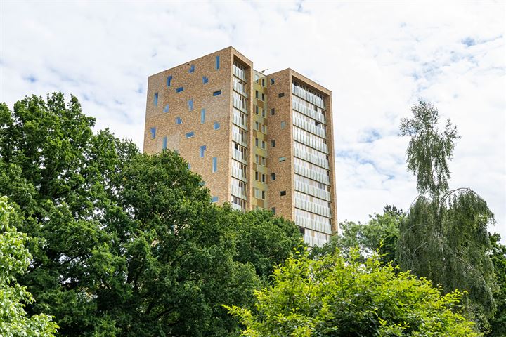 Bekijk foto 47 van Vechtstraat 314