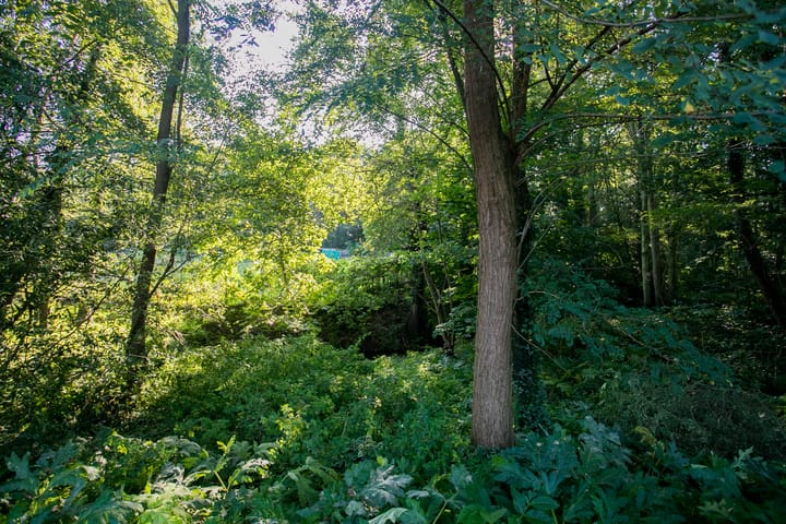 Foto 46 van Nabben 12