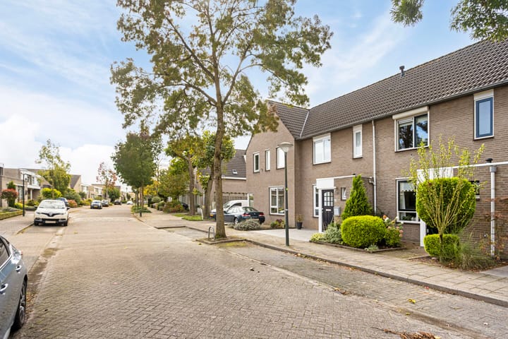 Foto 2 van Elendil 73