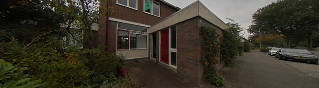 Bekijk 360° foto van foto1 van Stinzenflora 58