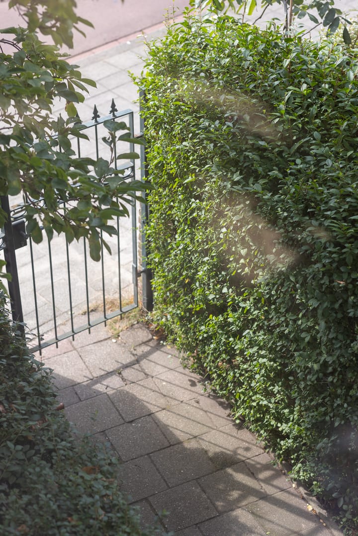 Foto 48 van 's-Gravenweg 36-A