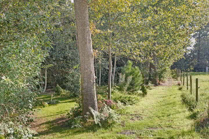 Photo 91 of Klompmakersweg 1