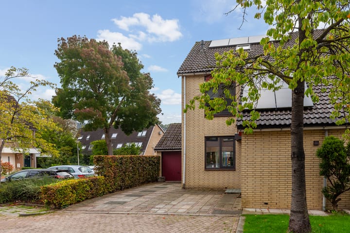 Photo 34 of Fazant 44