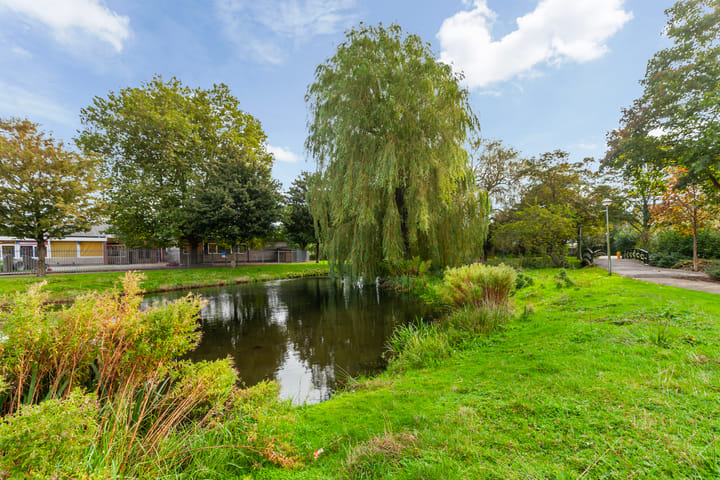 Photo 37 of Fazant 44