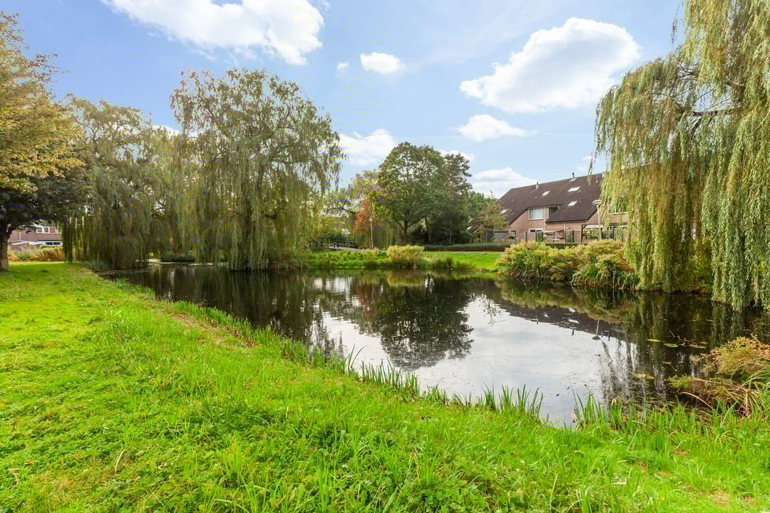 Photo 38 of Fazant 44