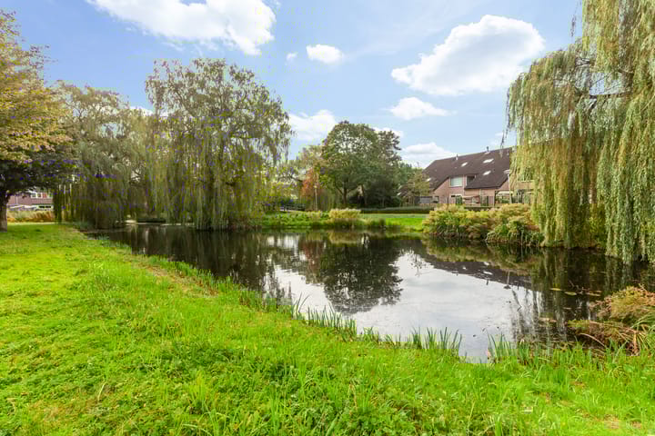 Photo 38 of Fazant 44