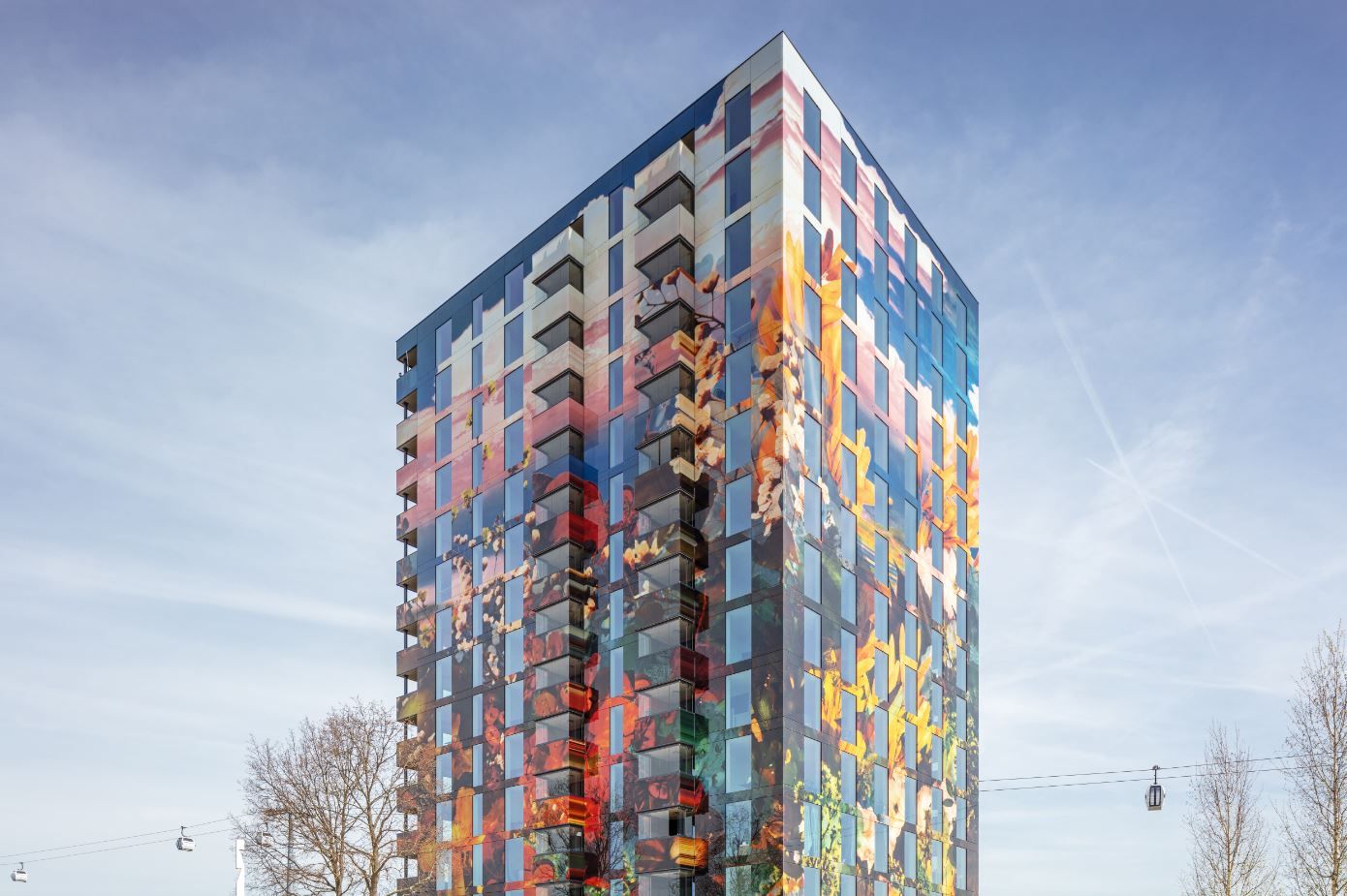 Foto 1 van Melica 318