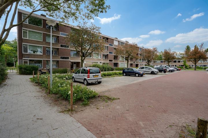 View photo 5 of Abeelstraat 91