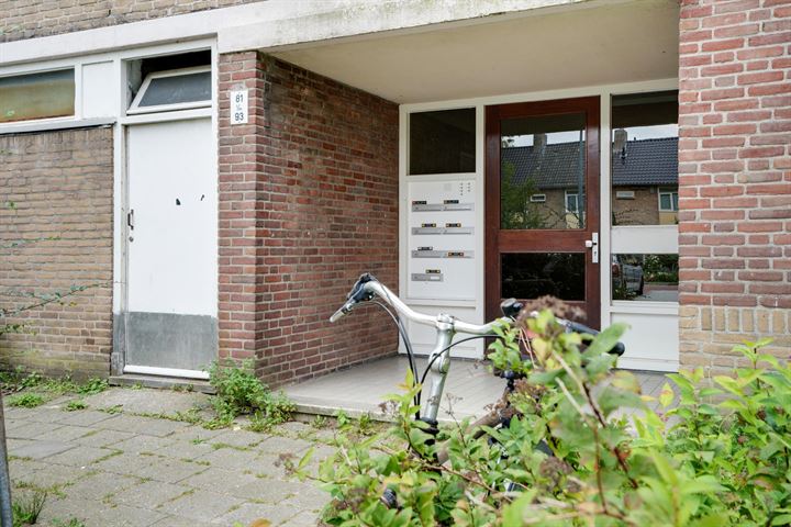 Bekijk foto 8 van Abeelstraat 91