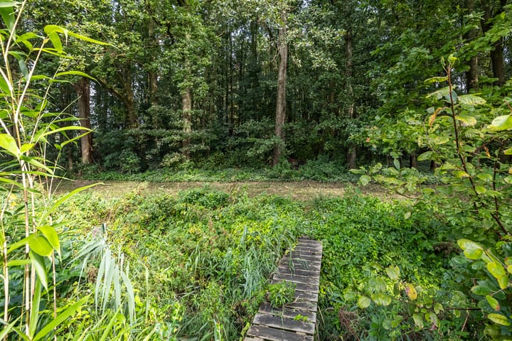 Foto 9 van Mernaweg 28