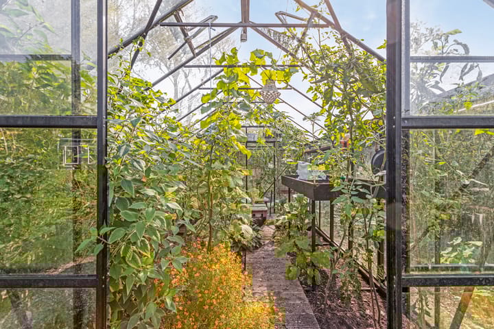 Foto 41 van Domburgseweg 62