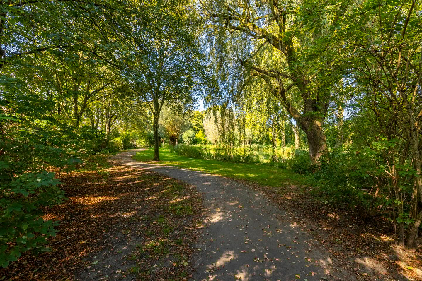 Foto 29 van Reinenweer 27