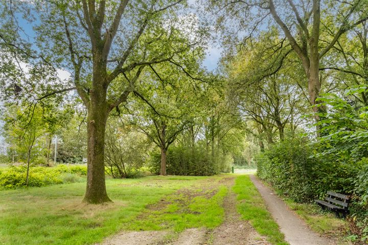 Bekijk foto 60 van Seradellehof 3