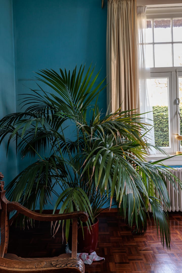 Foto 16 van Julianastraat 8