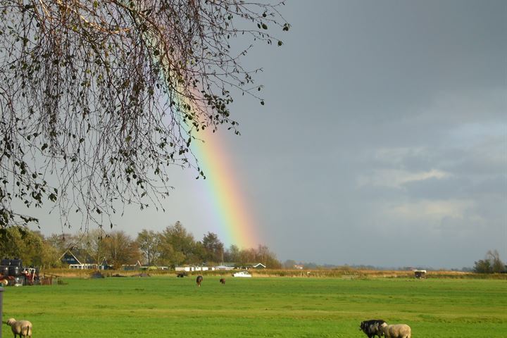 Bekijk foto 34 van Hage Weer 31