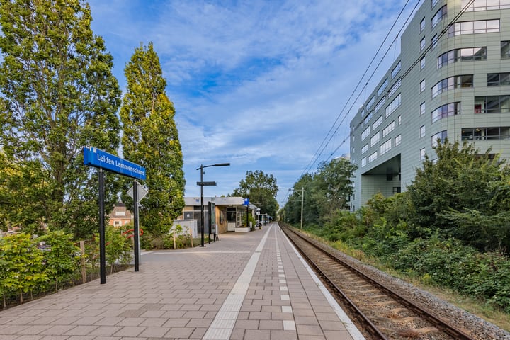 Bekijk foto 43 van Mangoweg 157