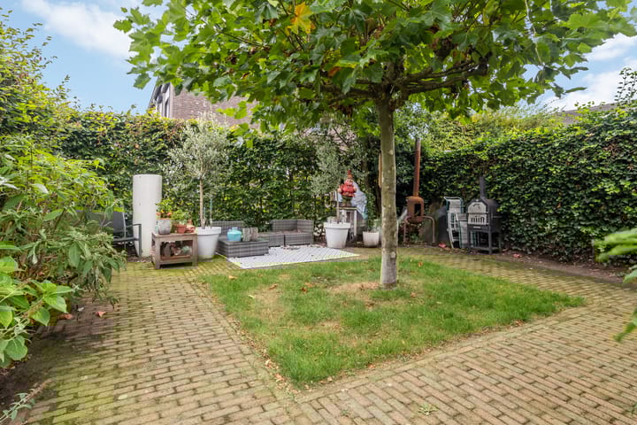 Foto 21 van Pinksterbloem 62