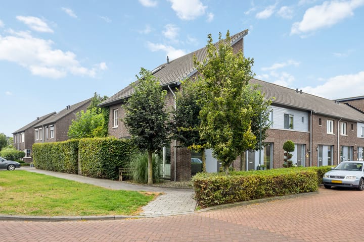 Foto 27 van Pinksterbloem 62