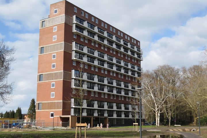 Jan Wiegersstraat 115