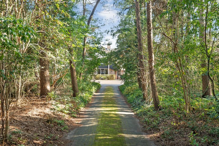 Foto 59 van Dwarsweg 19