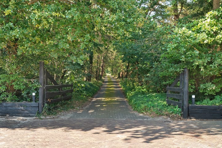 Foto 60 van Dwarsweg 19