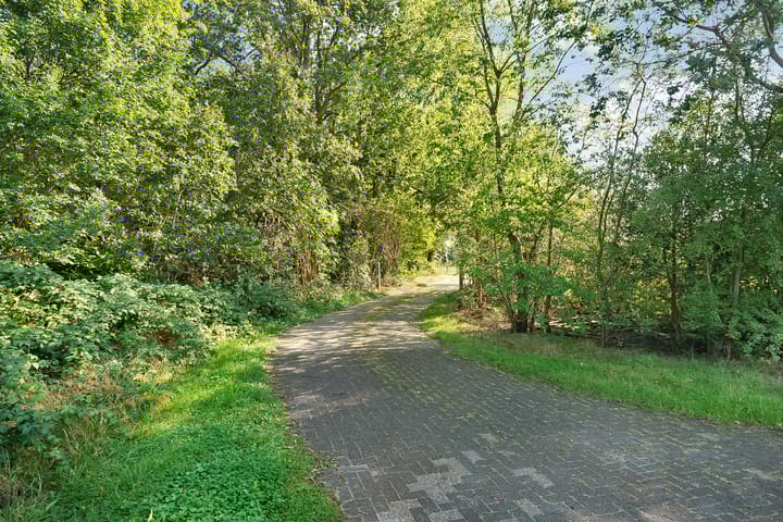 Foto 74 van Dwarsweg 19