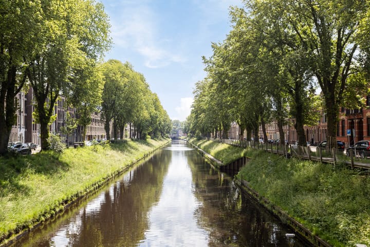 Foto 20 van van Berckelstraat 5