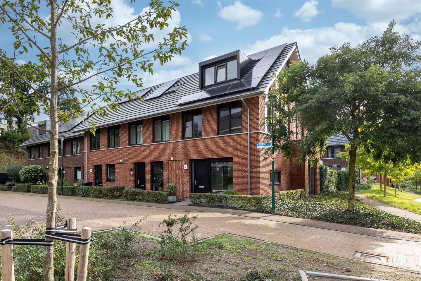 Foto 1 van Zanglijster 61