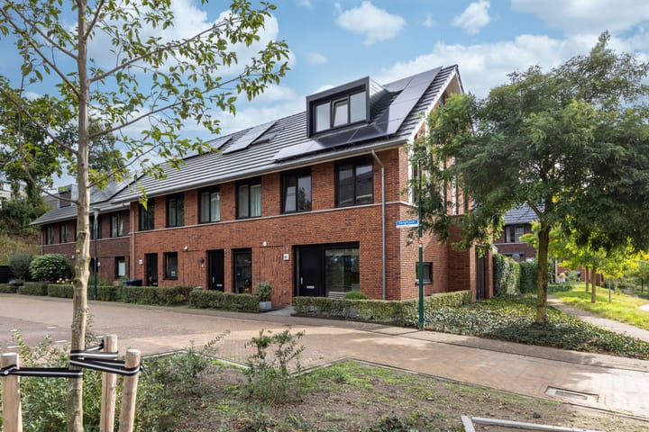 Foto 1 van Zanglijster 61