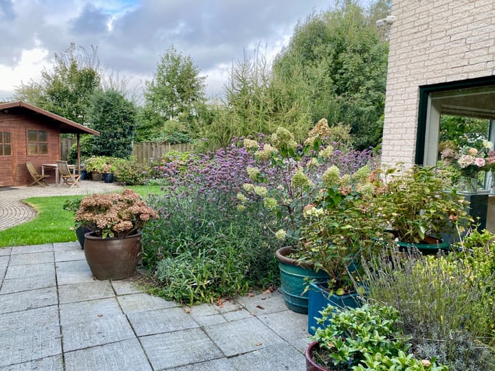 Photo 56 of Bouwhof 7