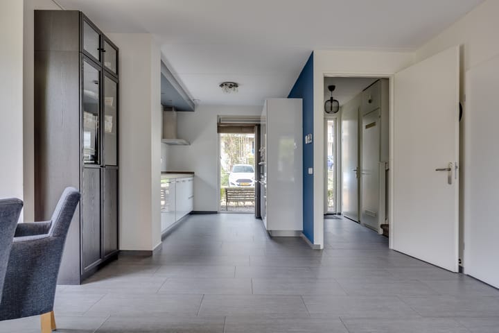 Foto 8 van Zanglijster 61