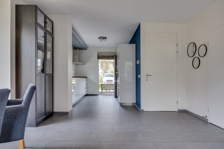 Foto 9 van Zanglijster 61