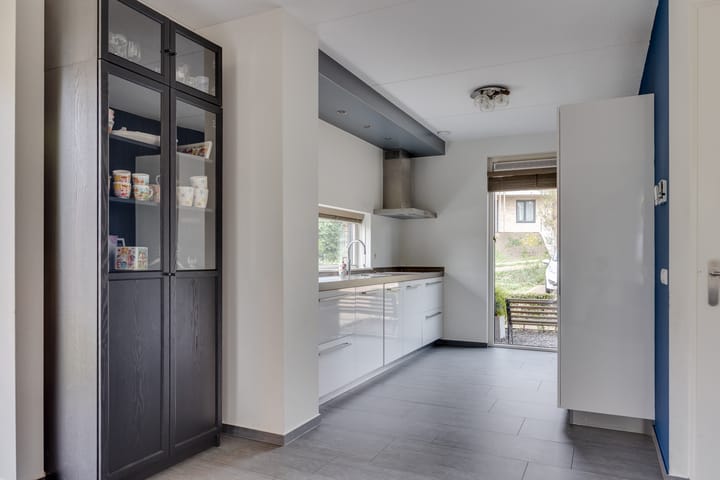 Foto 10 van Zanglijster 61