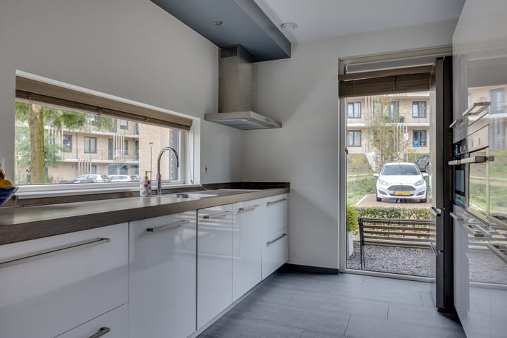 Foto 11 van Zanglijster 61