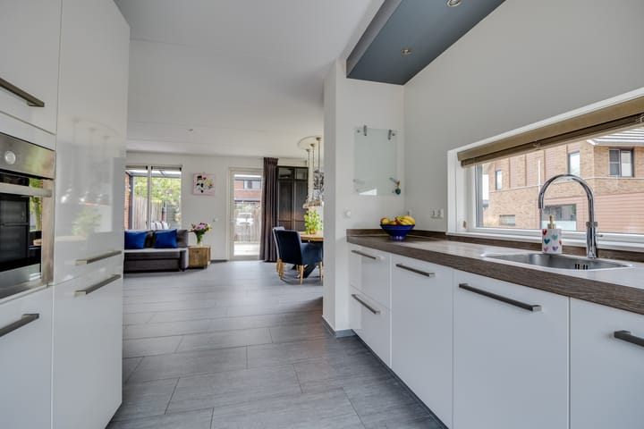 Foto 12 van Zanglijster 61