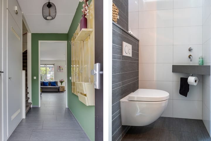 Foto 13 van Zanglijster 61