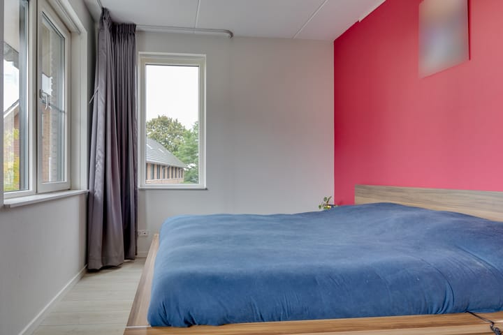 Foto 15 van Zanglijster 61