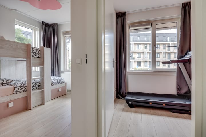 Foto 19 van Zanglijster 61